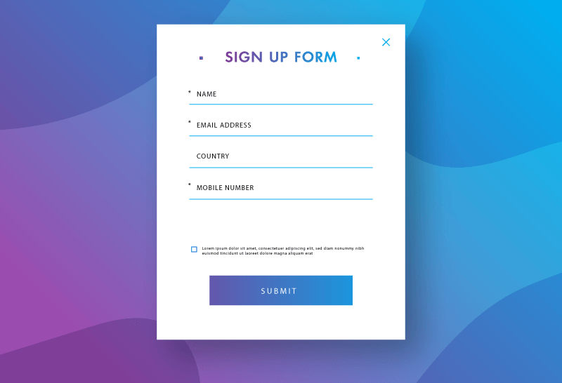 Subscribers’ Form for capturing customers’ information