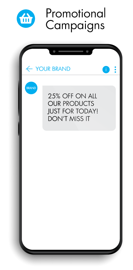 SMS Marketing Promotional Campaign
